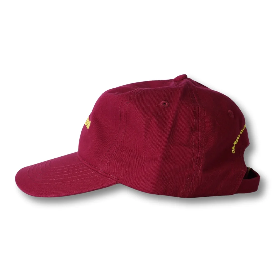 made in brasil - Dad Hat - Image 28