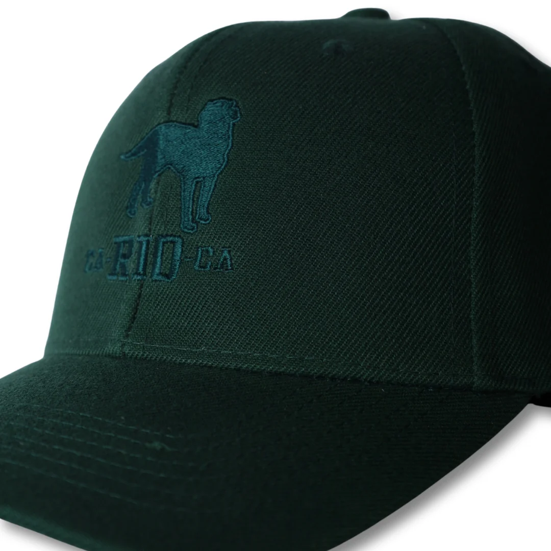 The Stealth CA-RIO-CA Logo Embroidered Baseball Hat - Image 9